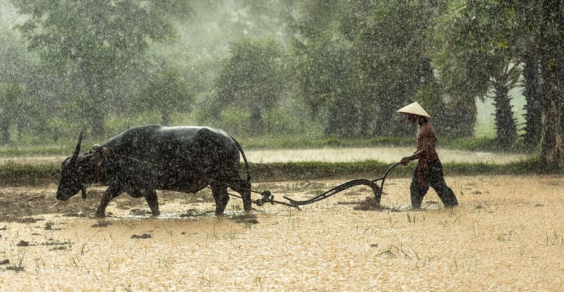 Agricultural Revolution