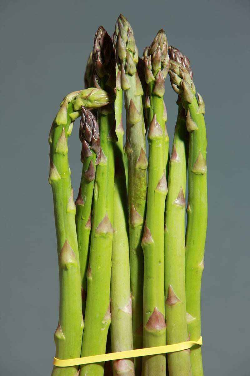 Quinoa